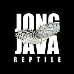 Melodyc_Indonesia